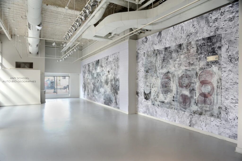 Amy Schissel: Auto-Bio-Geographies - Installation View